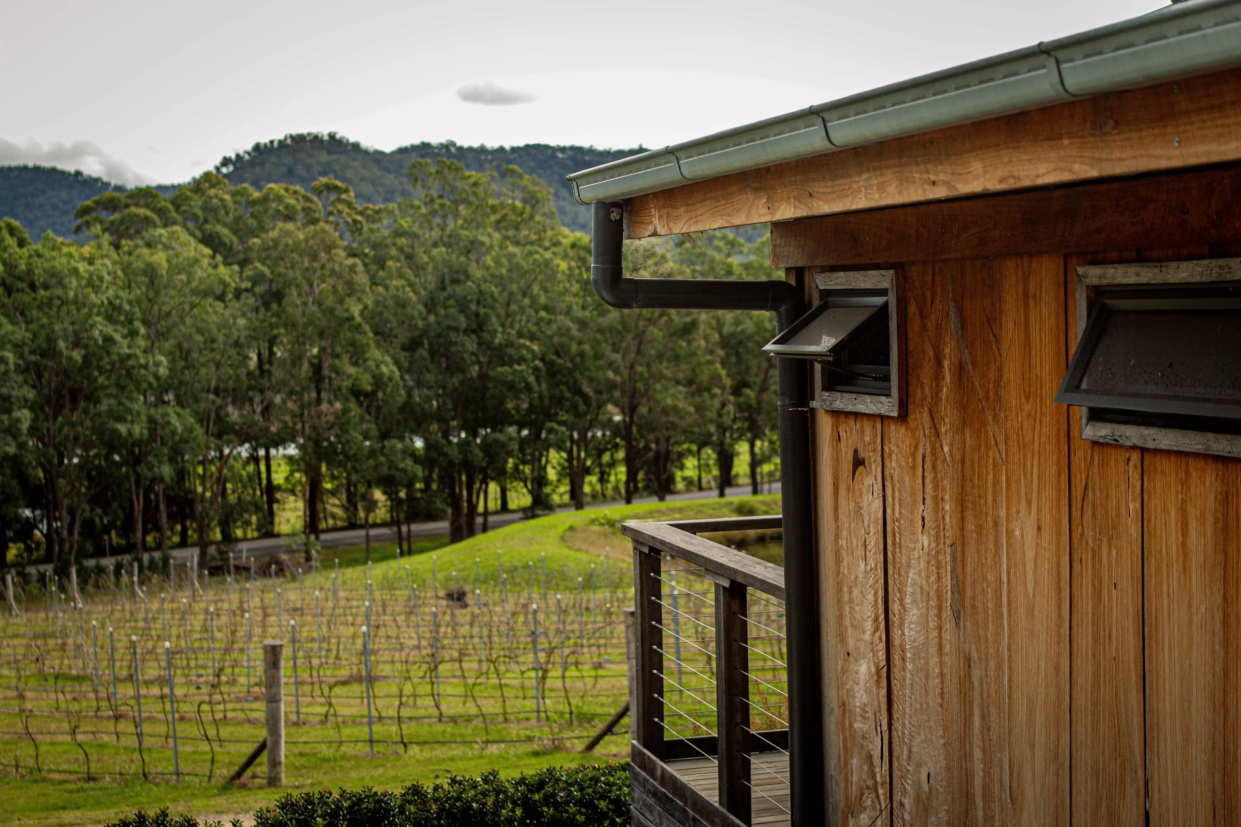Chris, Reyna, and Sam Chew at Cael's Gate vineyard