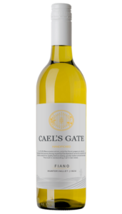 fiano 2024 final 585x1024