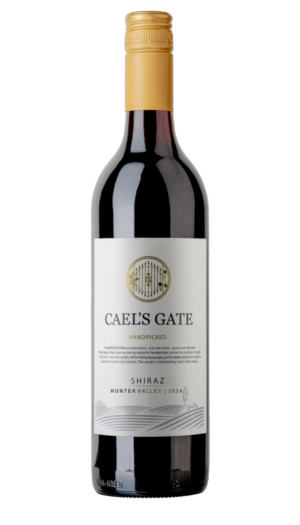 hv shiraz 2024