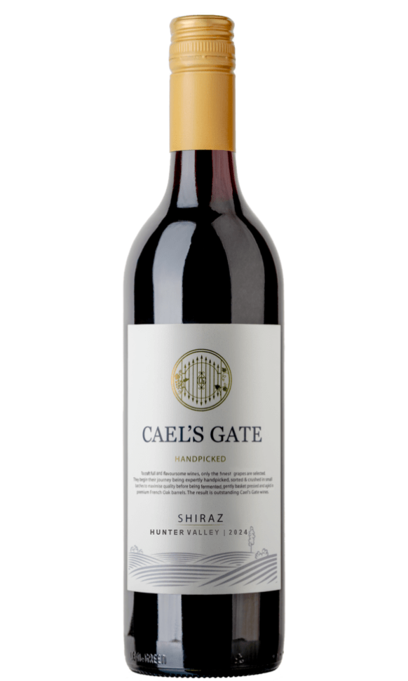 hv shiraz 2024