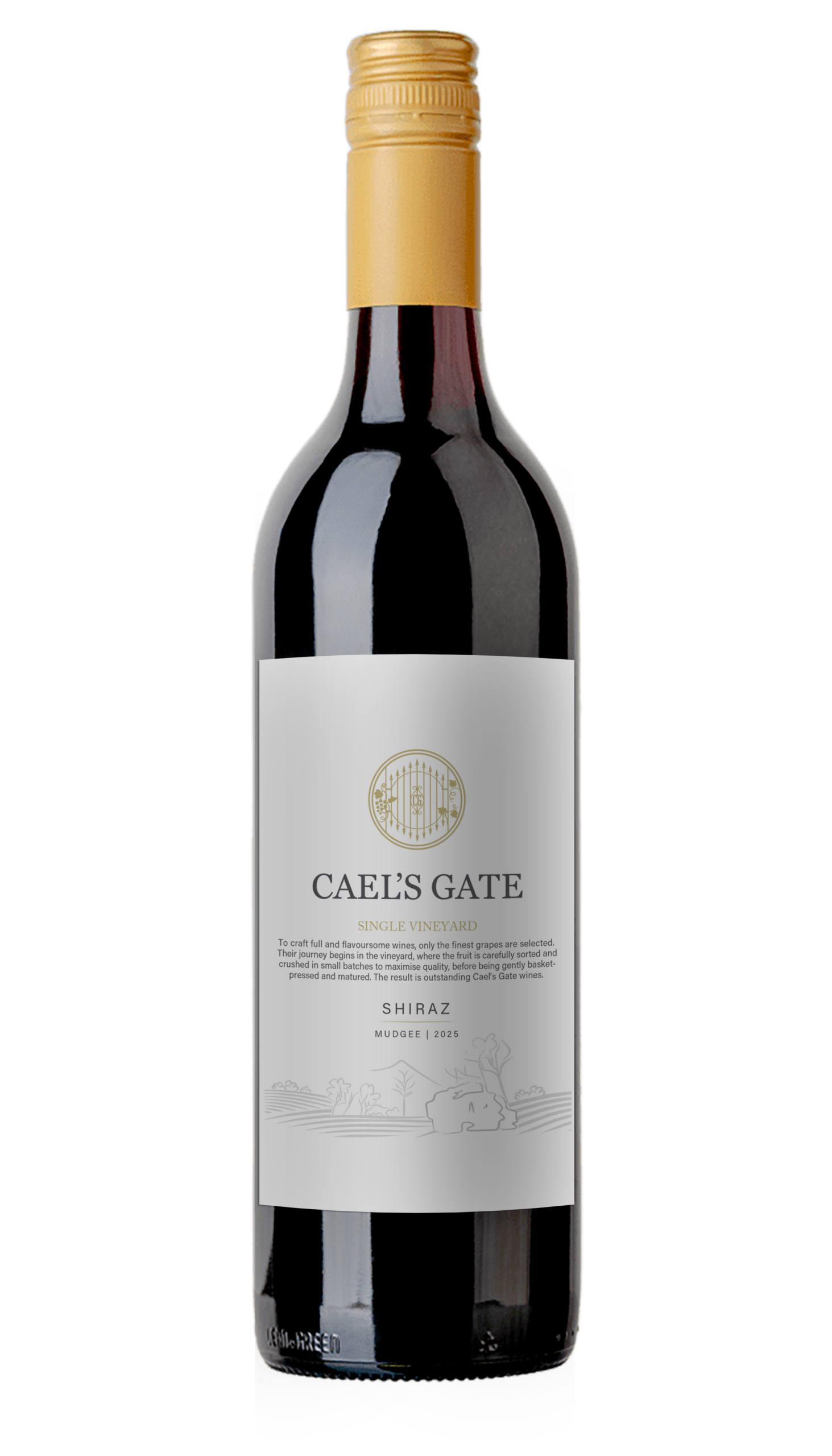 SINGLE VINEYARD SHIRAZ MUDGEE 2025